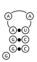 Figure 2a: a possible structure predicted by Nussinov's algorithm